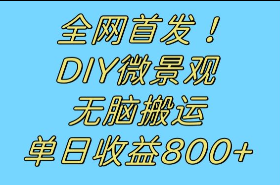 全网首发冷门赛道！DIY微景观，无脑搬运视频，日收益800+-知创网