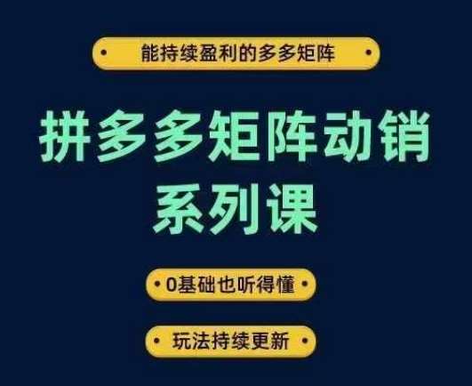 拼多多矩阵动销系列课，能持续盈利的多多矩阵，0基础也听得懂，玩法持续更新-知创网