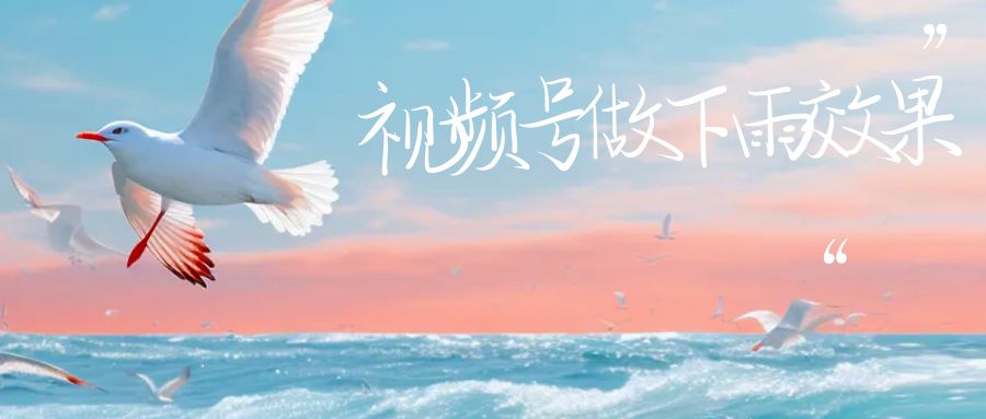 视频号做下雨视频,一个账号一周涨粉10W+,日入1000+附保姆级教程-知创网