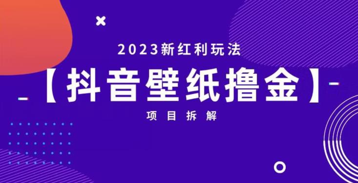 抖音壁纸小程序创作者撸金项目，2023新红利玩法【项目拆解】-知创网