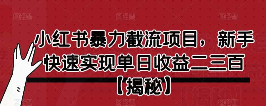 小红书暴力截流项目，新手快速实现单日收益二三百【仅揭秘】-知创网