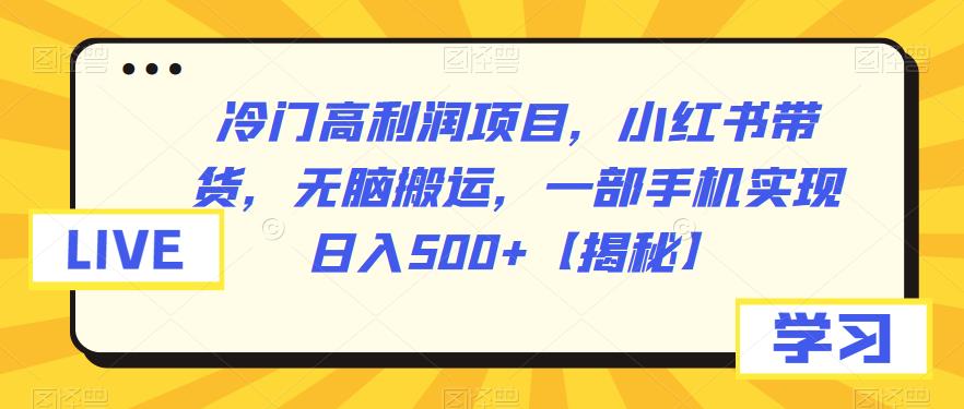 冷门高利润项目，小红书带货，无脑搬运，一部手机实现日入500+【揭秘】-知创网