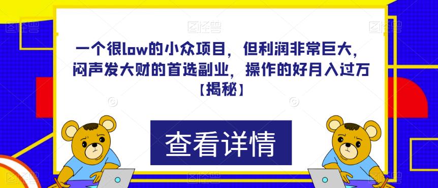 一个很low的小众项目，但利润非常巨大，闷声发大财的首选副业，操作的好月入过万【揭秘】-知创网