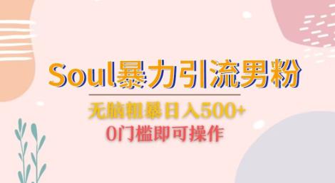 Soul暴力引流男粉玩法，无脑粗暴日入500＋，0门槛即可操作【揭秘】-知创网