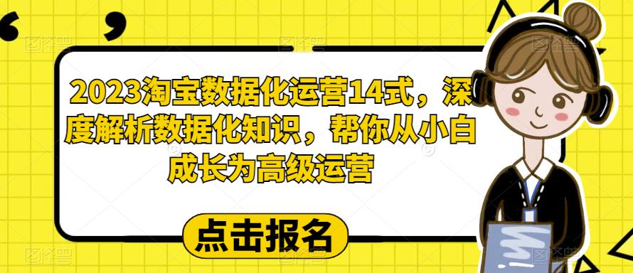 2023淘宝数据化运营14式，深度解析数据化知识，帮你从小白成长为高级运营-知创网