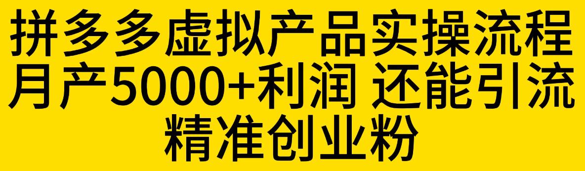 拼多多虚拟产品实操流程，月产5000+利润，还能引流精准创业粉【揭秘】-知创网