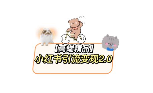 小红书最新引流变现教程，全网最新最详细的视频教程以及素材-知创网