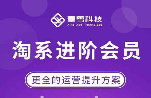 星雪·淘系进阶课程，快速提升突破技能流量瓶颈必备（更新2023年5月）-知创网