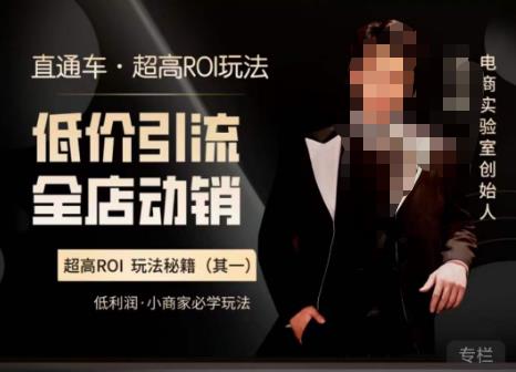 电商冰可乐·直通车·《低价引流·全店动销》，直通车·超高ROI玩法（其一）全店动销必学玩法-知创网