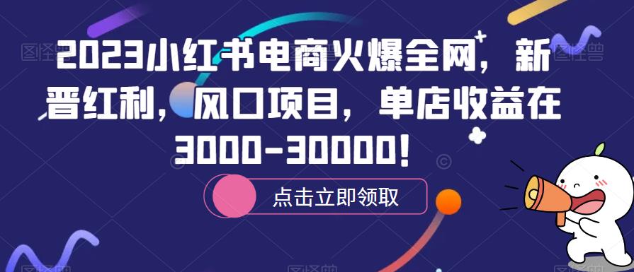2023小红书电商火爆全网,新晋红利,风口项目,单店收益在3000-30000!-知创网