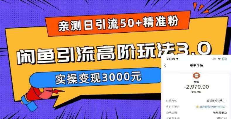 亲测日引50+精准粉，闲鱼引流高阶玩法3.0，实操变现3000元【揭秘】-知创网