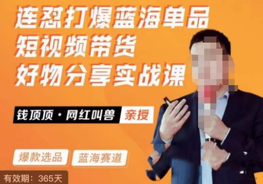 网红叫兽·连怼打爆蓝海单品，短视频带货好物分享实战课-知创网