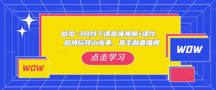 哈哥·3月线下实操课高清视频+课件，如何玩转小而美，高毛利直播间-知创网