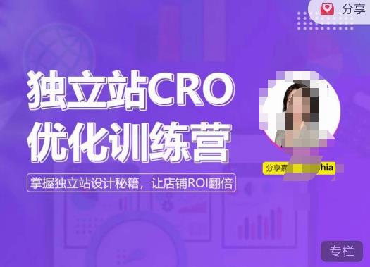 独立站CRO优化训练营，掌握独立站设计秘籍，打造高转化的独立站，让店铺ROI翻倍-知创网