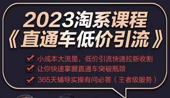 2023直通车低价引流玩法课程，小成本大流量，低价引流快速拉新收割，让你快速掌握直通车突破瓶颈-知创网