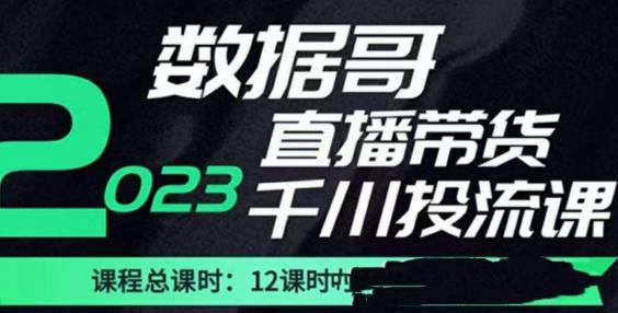 数据哥2023直播电商巨量千川付费投流实操课，快速掌握直播带货运营投放策略-知创网