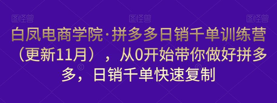 白凤电商学院·拼多多日销千单训练营,从0开始带你做好拼多多,日销千单快速复制(更新知2023年3月)-知创网