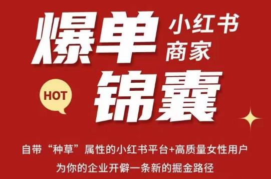 无畏·小红书商家爆单锦囊，掌握小红书各大规则，快速精准抢占行业和市场-知创网