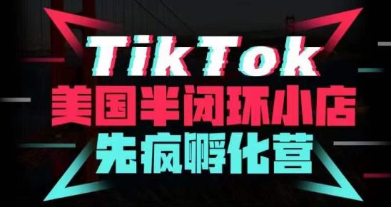 疯人院·TikTok美国半闭环小店孵化营,抢占TikTok美国蓝海市场,开店、运营、带货、投流全实操-知创网