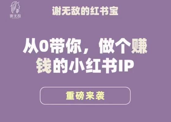 谢无敌·小红书运营大宝典，从0带你做个赚钱的小红书IP-知创网