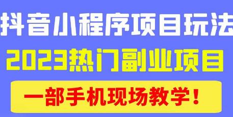 抖音小程序9.0新技巧,2023热门副业项目,动动手指轻松变现-知创网
