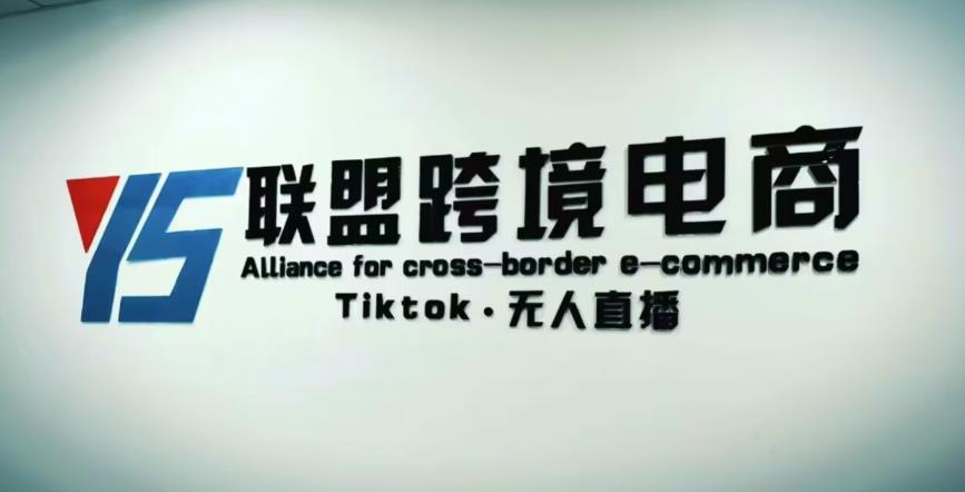 YS联盟·Tiktok无人直播，不出镜不剪辑不拍摄不发货无售后的跨境短视频躺赚玩法-知创网
