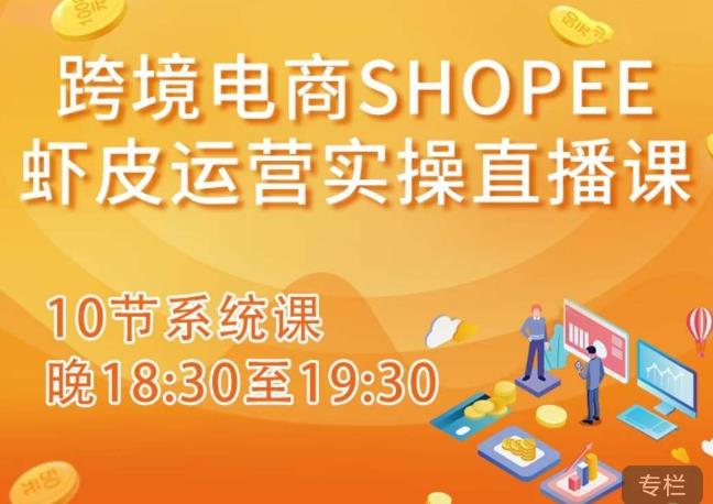 跨境电商Shopee虾皮运营实操直播课，从零开始学，入门到精通（10节系统课）-知创网