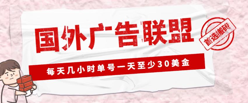 外面收费1980的最新国外LEAD广告联盟搬砖项目，单号一天至少30美金【详细玩法教程】-知创网