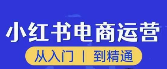 顽石小红书电商高阶运营课程，从入门到精通，玩法流程持续更新-知创网