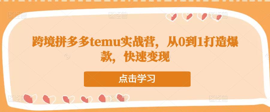 跨境拼多多temu实战营，从0到1打造爆款，快速变现-知创网