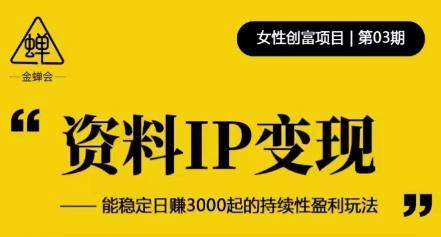 资料IP变现，能稳定日赚3000起的持续性盈利玩法-知创网
