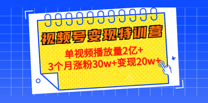21天视频号变现特训营:单视频播放量2亿+3个月涨粉30w+变现20w+-知创网
