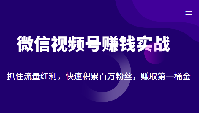 微信视频号赚钱实战：抓住流量红利，快速积累百万粉丝，赚取你的第一桶金-知创网