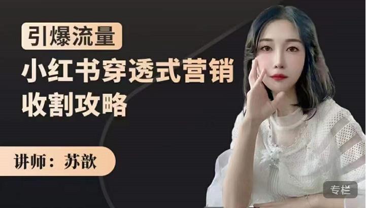 苏歆：小红书穿透式营销收割攻略，引爆流量，助你玩转小红书-知创网