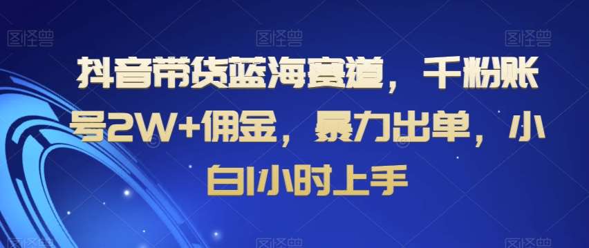 抖音带货蓝海赛道，千粉账号2W+佣金，暴力出单，小白1小时上手【揭秘】-知创网