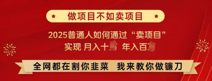 必看!做项目不如卖项目，2025普通人如何通过“卖项目”实现月入十个，年入百个【揭秘】-知创网