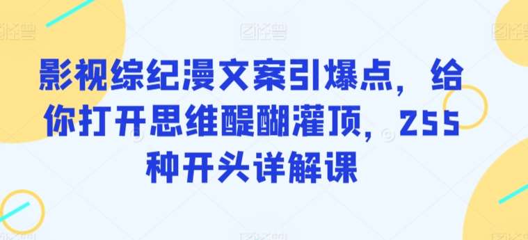 影视综纪漫文案引爆点,给你打开思维醍醐灌顶,255种开头详解课-知创网