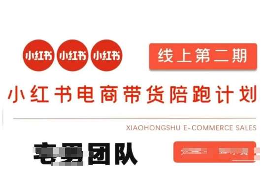 小红书电商带货课2期，月利润20个的小红书电商的有货源，无货源，虚拟产品，付费投流等整套玩法-知创网