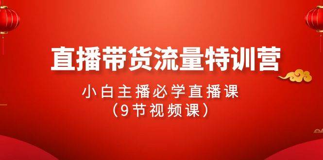 (9592期)2024直播带货流量特训营,小白主播必学直播课(9节视频课)-知创网