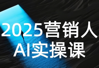 2025营销人Al实操课,AI营销抢跑实战,从Prompt到方案,效率碾压同行-知创网
