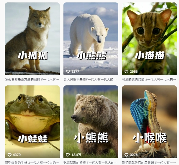 图片[2]-最新搞笑动物百科详细解说课程，蓝海赛道，流量非常大，轻松签独家进精选-知创网