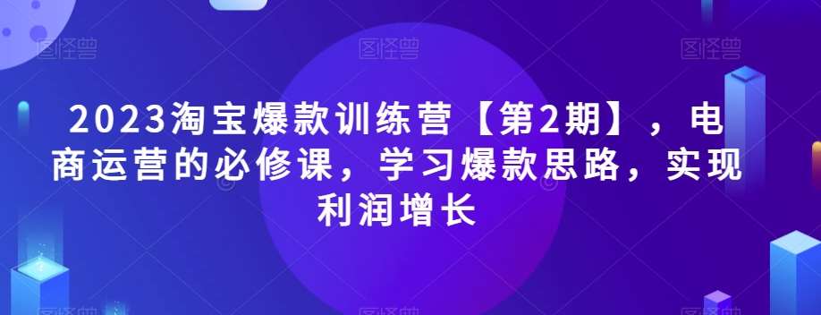 2023淘宝爆款训练营【第2期】,电商运营的必修课,学习爆款思路,实现利润增长-知创网