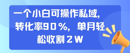 一个小白可操作私域，转化率90%，单月轻松收割2W-知创网