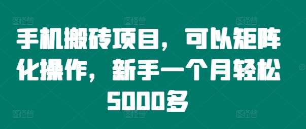 手机搬砖项目，可以矩阵化操作，新手一个月轻松5000多-知创网