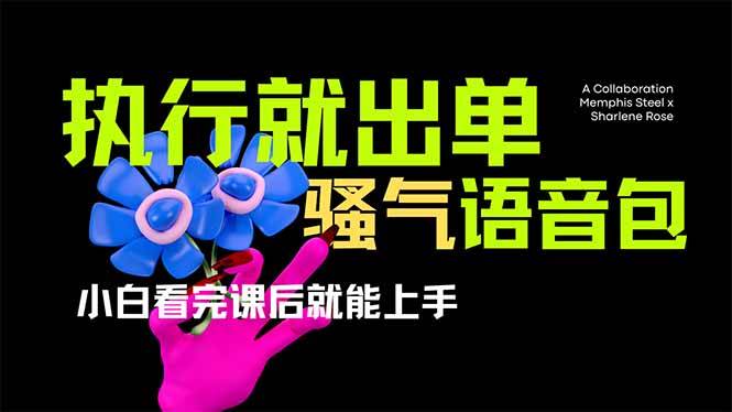 （14170期）爆火全网的开车导航骚气语音包,只要执行就出单，小白看完课程就能实操…-知创网