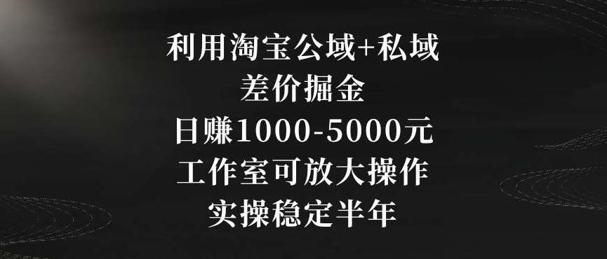 利用淘宝公域+私域差价掘金，日赚1000-5000元，工作室可放大操作，实操稳定半年【揭秘】-知创网