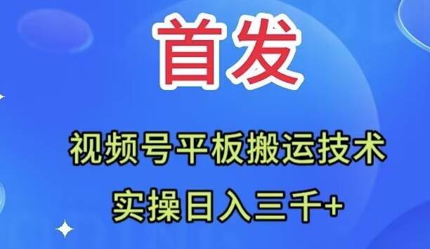 （7843期）全网首发：视频号平板搬运技术，实操日入三千＋-知创网