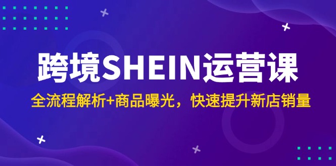 （14832期）跨境SHEIN运营课，全流程解析+商品曝光，快速提升新店销量-知创网