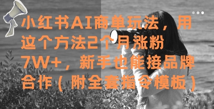 小红书AI商单玩法，用这个方法2个月涨粉7W+，新手也能接品牌合作(附全套指令模板)-知创网