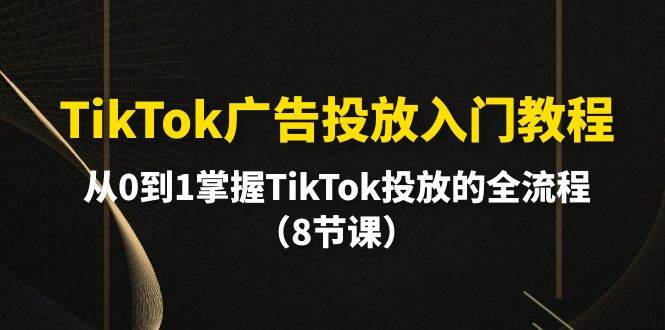 （10085期）TikTok广告投放入门教程，从0到1掌握TikTok投放的全流程（8节课）-知创网